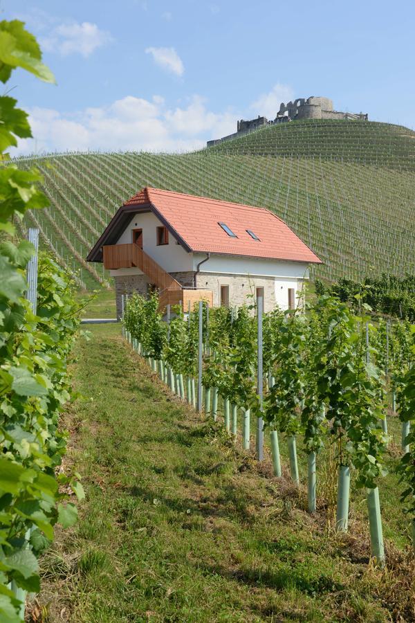 מלון סנט ויט אן דר גלאן Weingut Taggenbrunn מראה חיצוני תמונה