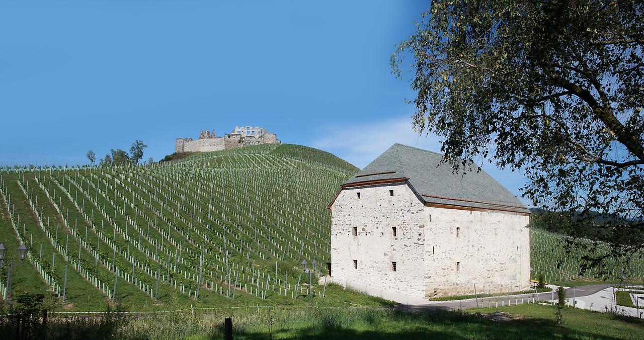 מלון סנט ויט אן דר גלאן Weingut Taggenbrunn מראה חיצוני תמונה